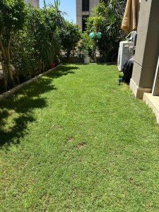 Village Gate Duplex: 3 Bedrooms, 200m², Resale